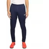 Nike Park 20 M BV6877-410 kelnės