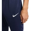 Nike Park 20 M BV6877-410 kelnės