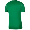 Nike Park 20 M Marškinėliai BV6883-302