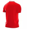 Nike Park 20 M Marškinėliai CW6933 657