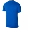 Nike Park 20 M Marškinėliai CZ0881-463