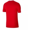 Nike Park 20 M marškinėliai CZ0881-657