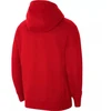 Nike Park 20 M sportinis džemperis CW6887-657