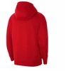 Nike Park 20 M sportinis džemperis CW6887-657