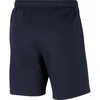 Nike Park 20 Šortai M CW6910-451