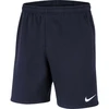 Nike Park 20 Šortai M CW6910-451