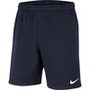 Nike Park 20 Šortai M CW6910-451