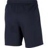 Nike Park 20 Šortai M CW6910-451