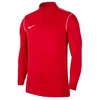 Nike Park 20 Track vaikiškas džemperis FJ3026-657