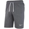 Nike Park 20 vilnoniai šortai M CW6910 071