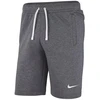 Nike Park 20 vilnoniai šortai M CW6910 071
