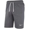 Nike Park 20 vilnoniai šortai M CW6910 071