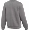 Nike Park 26 Fleece apvali apykaklė, vaikiškas džemperis, pilkas IB1188 063