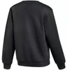 Nike Park 26 Fleece apvalios apykaklės vaikiškas bliuzonas, juodas IB1188 010