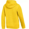 Nike Park 26 Fleece džemperis su gobtuvu vaikams Geltonas IB1226 719