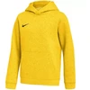 Nike Park 26 Fleece džemperis su gobtuvu vaikams Geltonas IB1226 719