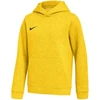 Nike Park 26 Fleece džemperis su gobtuvu vaikams Geltonas IB1226 719