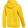 Nike Park 26 Fleece džemperis su gobtuvu vaikams Geltonas IB1226 719