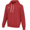 Nike Park 26 Fleece Gobtuotas Bliuzonas Vyrams Raudonas IB1222 657