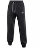 Nike Park 26 Fleece Kelnės IB1248-010