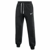 Nike Park 26 Fleece Kelnės IB1248-010