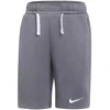 Nike Park 26 Fleece Vaikams Šortai Pilki IB1242 071