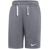 Nike Park 26 Fleece Vaikams Šortai Pilki IB1242 071