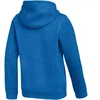 Nike Park 26 Fleece vaikiškas bliuzonas su kapišonu Mėlynas IB1226 463