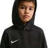 Nike Park 26 Fleece vaikiškas bliuzonas su kapišonu Juodas IB1226 010