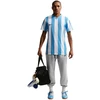 Nike Park 26 Fleece Vyriškos kelnės Šviesiai pilkos IB1248 063