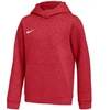 Nike Park 26 Fliso Hoodie Vaikams Raudona IB1226 657