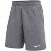Nike Park 26 Fliso Vyriški Šortai Šviesiai Pilki IB1238 071