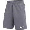 Nike Park 26 Fliso Vyriški Šortai Šviesiai Pilki IB1238 071