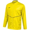 Nike Park 26 Vyriškas lietpaltis geltonas HM7265 719