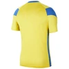 Nike Park Derby III Vyriški marškinėliai CW3826-720