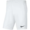 Nike Park III Knit Jr BV6865-100 šortai