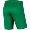 Nike Park III Knit Jr BV6865-302 šortai