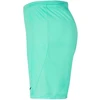 Nike Park III Knit Jr BV6865-354 Šortai