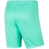 Nike Park III Knit Jr BV6865-354 Šortai