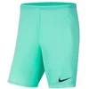 Nike Park III Knit Jr BV6865-354 Šortai