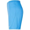 Nike Park III Knit Jr BV6865-412 šortai