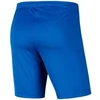 Nike Park III Knit Jr BV6865-463 Šortai