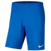 Nike Park III Knit Jr BV6865-463 Šortai