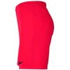 Nike Park III Knit Jr BV6865-635 Šortai