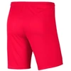 Nike Park III Knit Jr BV6865-635 Šortai