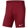 Nike Park III Knit Jr BV6865-677 Šortai