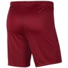 Nike Park III Knit Jr BV6865-677 Šortai