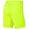 Nike Park III Knit Jr BV6865-702 Šortai