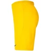 Nike Park III Knit Jr BV6865-719 Šortai