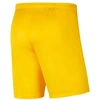 Nike Park III Knit Jr BV6865-719 Šortai